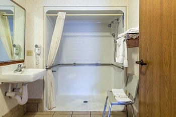 Room, 1 King Bed, Accessible, Non Smoking (Roll In Shower)