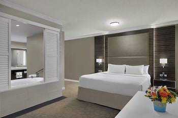 Room, 1 King Bed