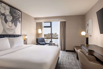 Room, 1 King Bed