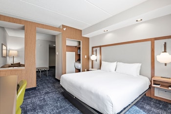 Suite, 1 King Bed with Sofa bed