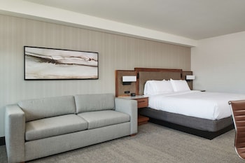 Room, 1 King Bed