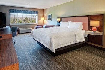 Studio, 1 King Bed, Refrigerator & Microwave Non-Smoking