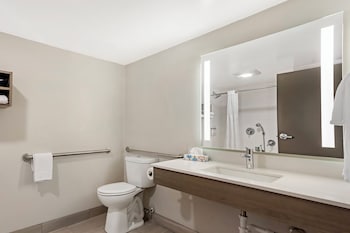 Room, 1 King Bed, Roll-in Shower, Pets Allowed (Mobility Accessible)