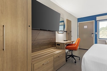 Standard Room, 1 King Bed, Accessible Bathtub, Pets Allowed (Mobility)