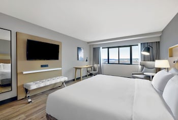Room, 1 King Bed
