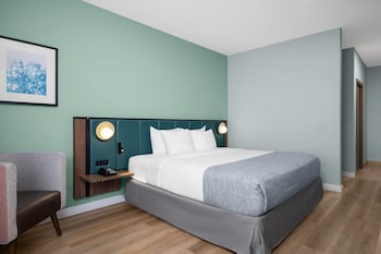 Room, 1 King Bed, Mobility Accessible, Non Smoking (Hearing, Tub W/Grab Bars)