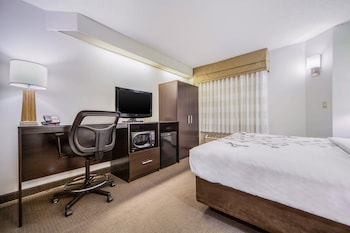 Standard Room, 1 Queen Bed