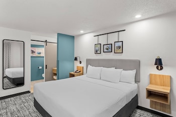 Room, 1 King Bed, Non Smoking