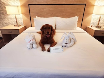 Room, 1 King Bed, Non Smoking