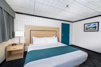 Room, 1 King Bed, Non Smoking