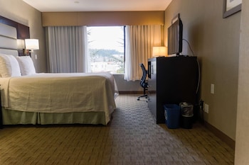 Standard Single Room, 1 Queen Bed, City View