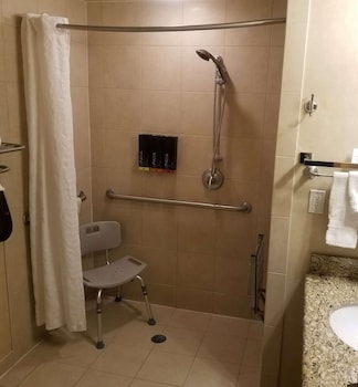 Single Room, 1 King Bed, Roll-in Shower, City View