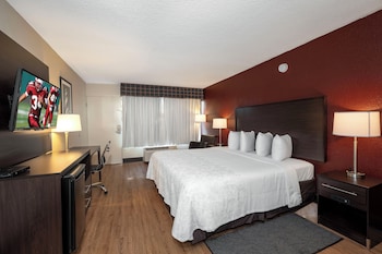 Standard Room, 1 King Bed, Accessible (Roll-In Shower, Smoke Free)