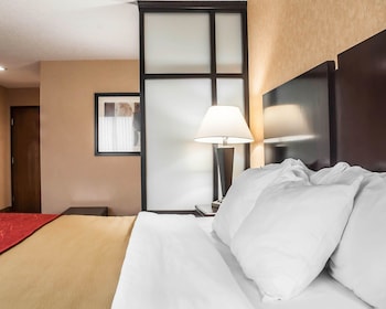 Efficiency, Studio, 1 King Bed with Sofa bed, Non Smoking