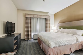 Room, 1 King Bed, Non Smoking