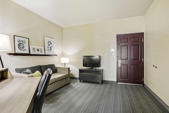 Studio, 1 King Bed with Sofa bed, Accessible, Non Smoking
