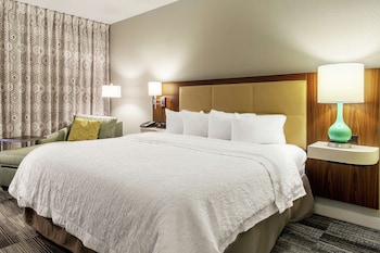Room, 1 King Bed, Accessible (Roll-In Shower)