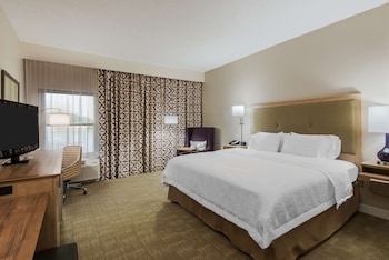 Room, 1 King Bed, Bathtub