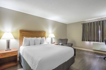 Business Room, 1 King Bed