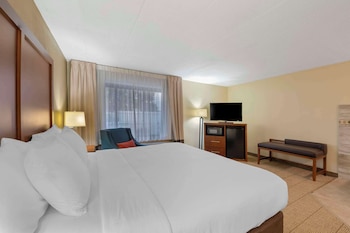 Suite, 1 King Bed, Non Smoking (Efficiency)