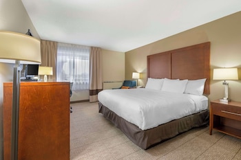 Standard Room, 1 King Bed, Accessible, Non Smoking