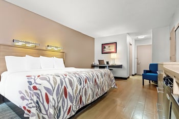 Superior Room, 1 King Bed, Non Smoking