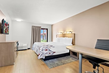 Superior Room, 1 King Bed, Non Smoking