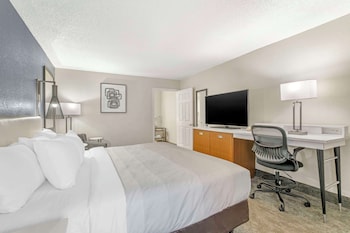 Standard Room, 1 King Bed, Non Smoking
