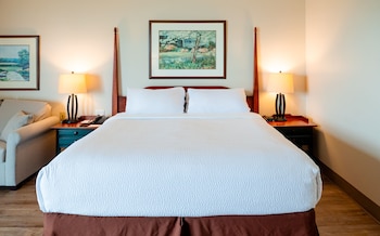 Standard Single Room, 1 King Bed with Sofa bed