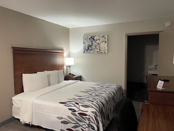 Deluxe Room, 1 King Bed, Accessible, Non Smoking