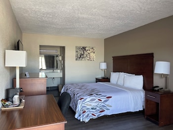Superior Room, 1 King Bed, Non Smoking