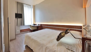 Standard Room, 1 Double Bed (French Size Bed 140 Cm)