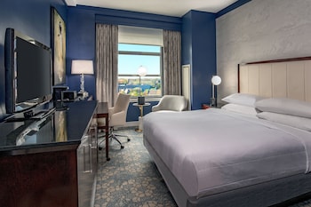 Room, 1 King Bed (Mobility Accessible, Roll-in Shower)