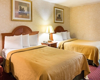 Standard Room, 2 Double Beds, Smoking (Pet Friendly)