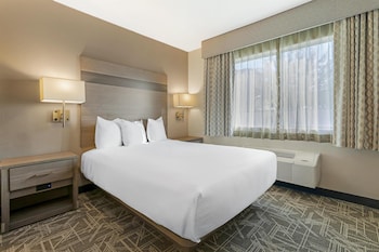 Standard Room, 1 Queen Bed, Non Smoking (2nd Floor;with Sofabed)