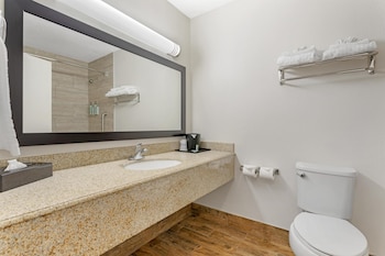 Standard Room, 1 King Bed, Non Smoking, Refrigerator & Microwave (Pet Friendly)