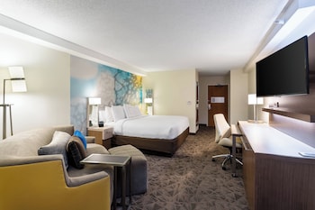 Room, 1 King Bed with Sofa bed, Hearing Accessible (Accessible Bathtub)