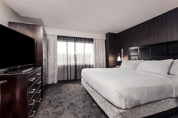 Suite, Accessible (Mobility & Hearing, Roll-in Shower)