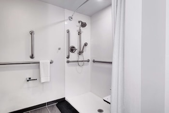 Suite, Accessible (Mobility & Hearing, Roll-in Shower)