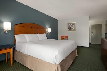 Standard Room, 1 King Bed, Non Smoking