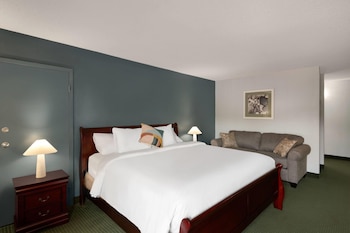 Suite, 1 King Bed, Non Smoking (One-Bedroom)