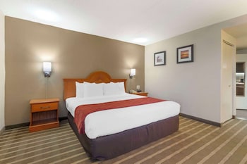 Room, 1 King Bed, Non Smoking (Mini-Fridge)