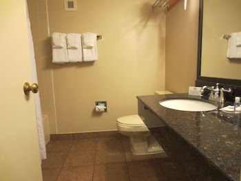 Room, 1 King Bed, Non Smoking (Mini-Fridge)