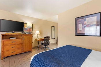 Standard Room, 2 Queen Beds, Non Smoking, Refrigerator & Microwave (Pet Friendly)