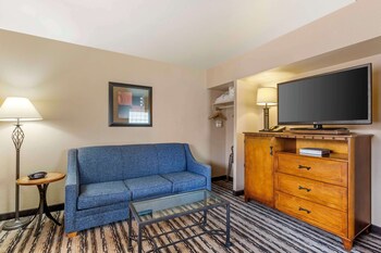 Suite, 1 King Bed, Non Smoking, Microwave (with Sofabed)