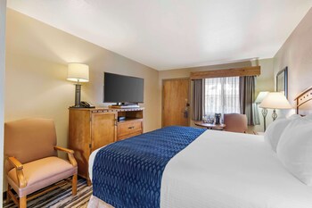 Standard Room, 1 King Bed, Non Smoking, Refrigerator & Microwave (Small Room)