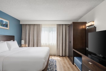2 Room Suite, 1 King Bed with Queen Sofabed