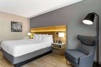 Room, 1 King Bed, Non Smoking