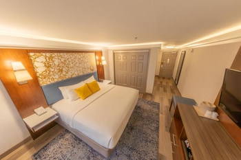 Standard Room, 1 King Bed, Accessible, Refrigerator & Microwave (Walk-in Shower)