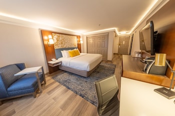 Standard Room, 1 King Bed, Accessible, Refrigerator & Microwave (Walk-in Shower)